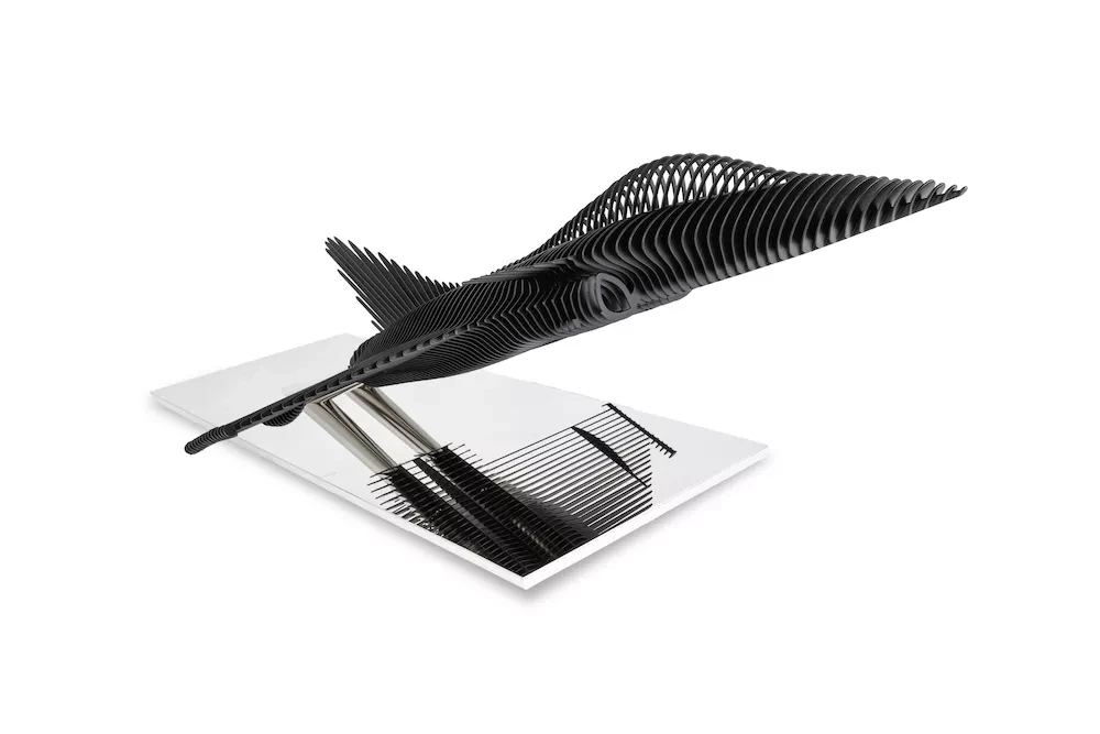 rafale black œuvre rafale black de l'artiste ANTOINE DUFILHO