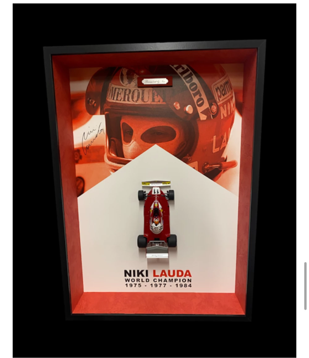 œuvre niki lauda f1 world champion de l'artiste DIORAM’ART